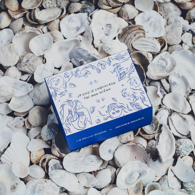 Shell - Gift box
